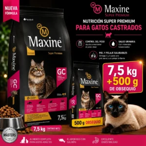 maxine gato castrado
