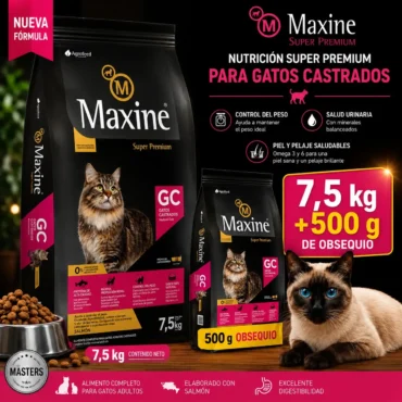 maxine gato castrado