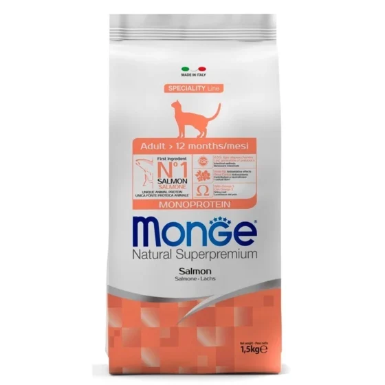 monge gato adulto