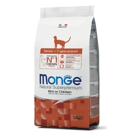 monge gato senior