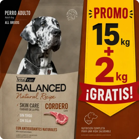 balanced cordero y arroz