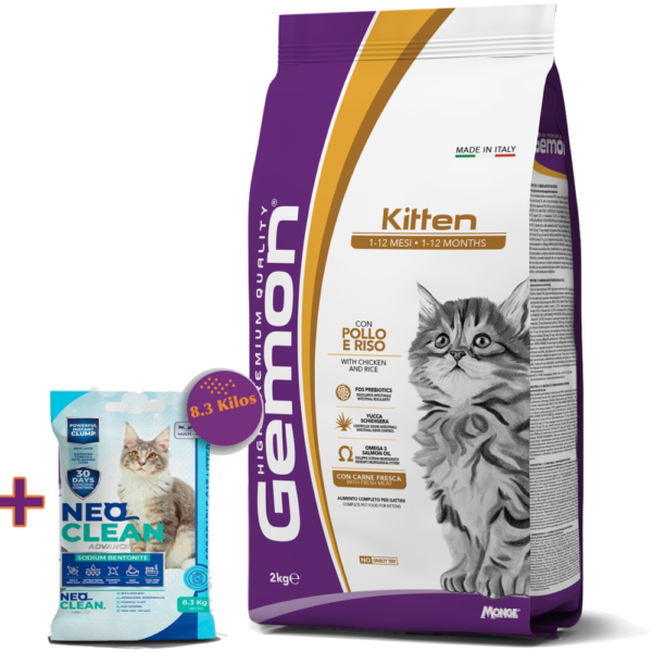 gemon kitten
