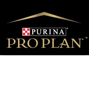Pro Plan