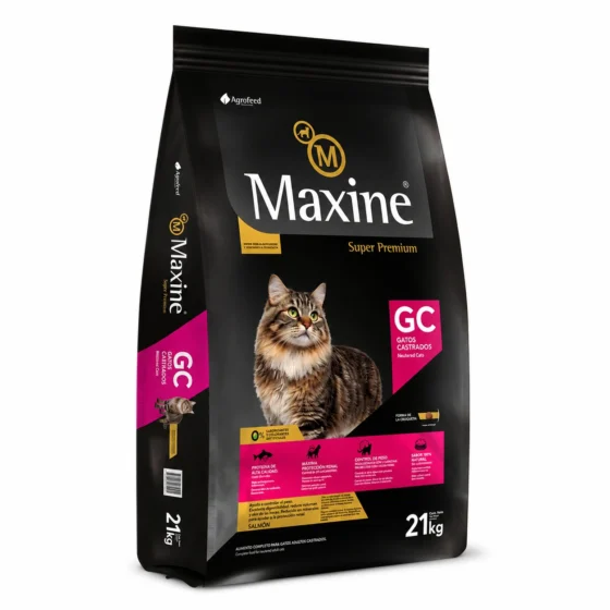 maxine gato castrado