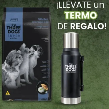three dogs cachorro