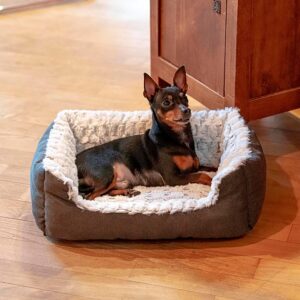 sofa sweetie para perro o gato