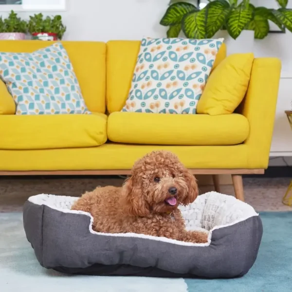 sofa sweetie medium