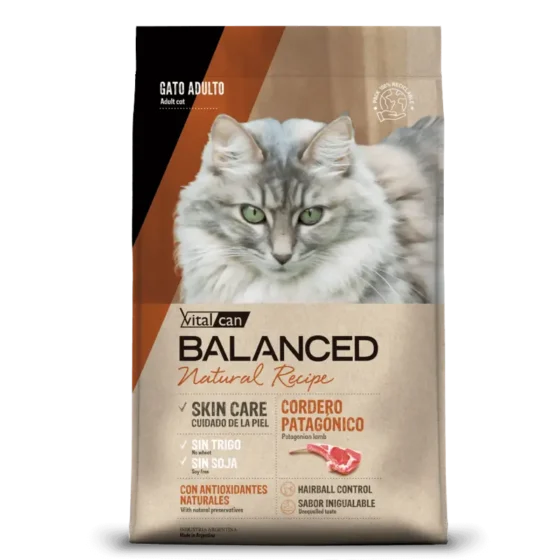 balanced gato cordero