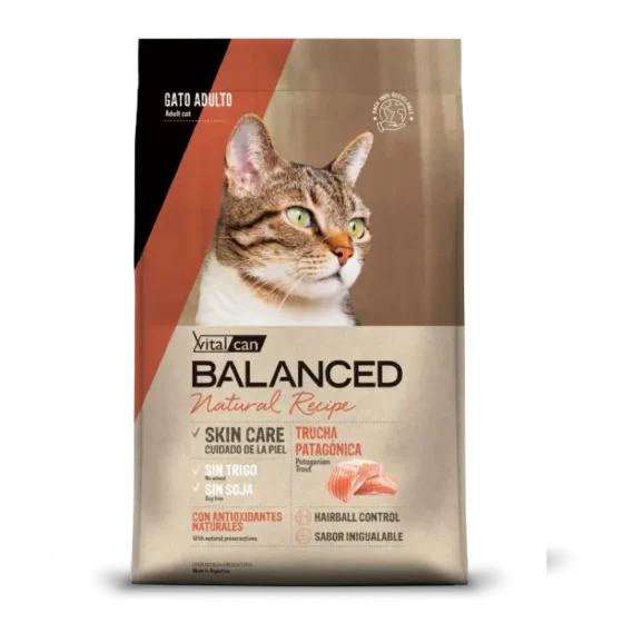 balanced gato trucha