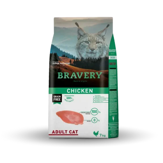 bravery cat adult chicken
