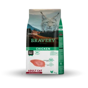 bravery chicken 