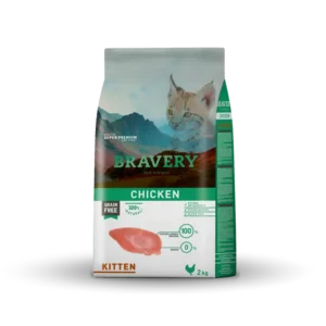 bravery kitten
