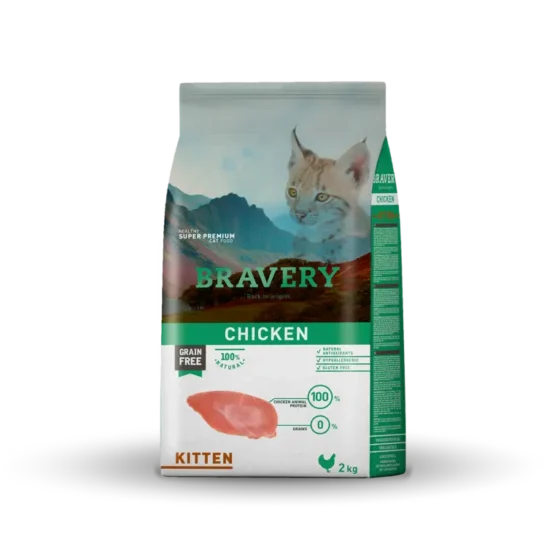 bravery kitten