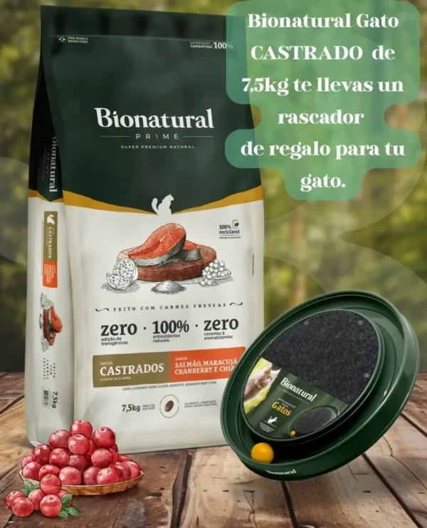 bionatural gato castrado