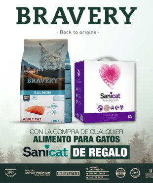 bravery gato salmon