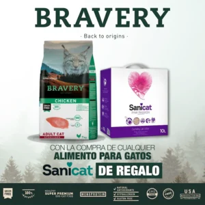 bravery gato esterilizado pollo