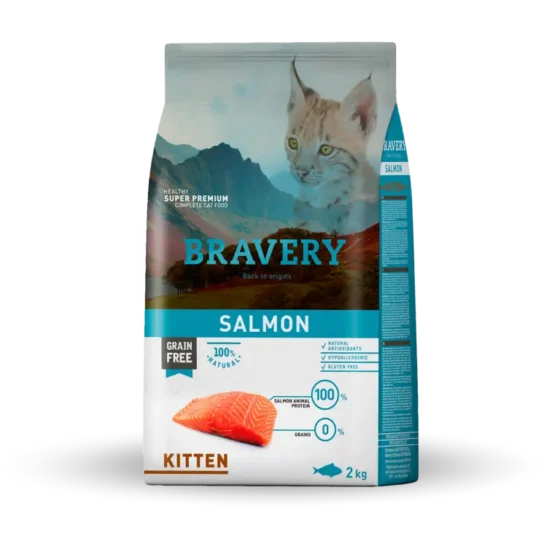 bravery kitten salmon