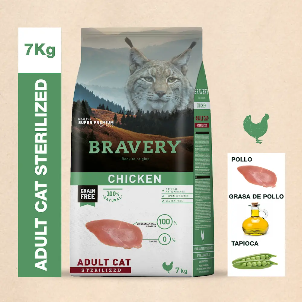 Bravery 8 presentacion de comidas para mnercos Mesa de trabajo 1 copia 7