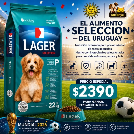 lager adulto raza pequeña