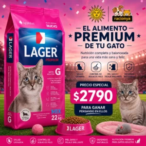 lager gato adulto
