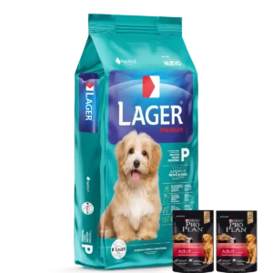 lager adulto raza pequeña