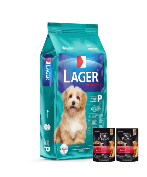 lager adulto raza pequeña
