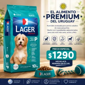 lager adulto raza pequeña