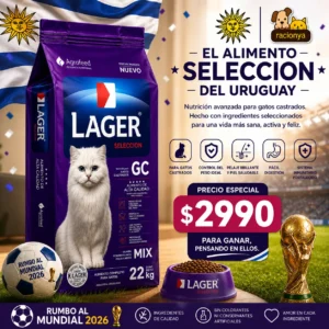 lager gato castrado