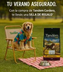 tandem adulto cordero