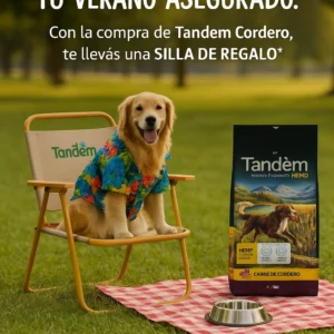 tandem adulto cordero