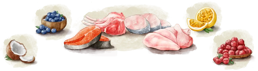 bionatural en racionya