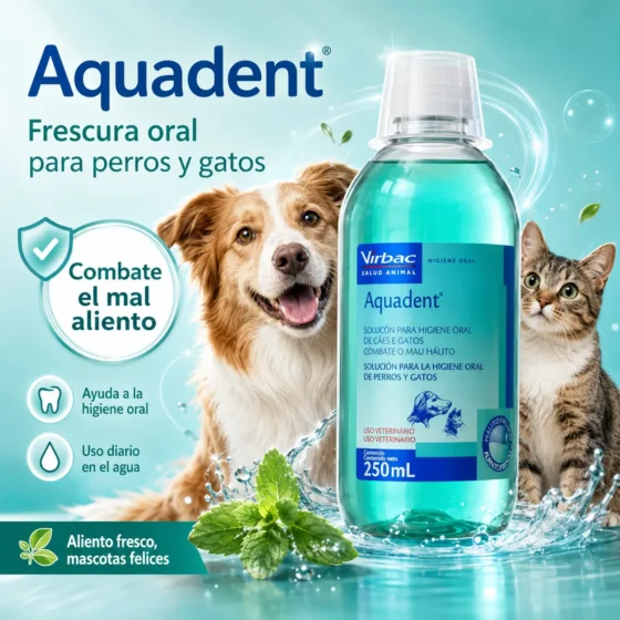 aquadent
