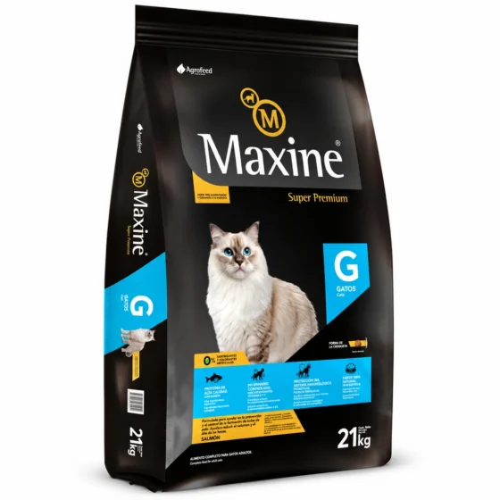 maxine gato adulto