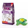 Frost Cat Indoor Adulto 8,5 Kg + Inflable a elección