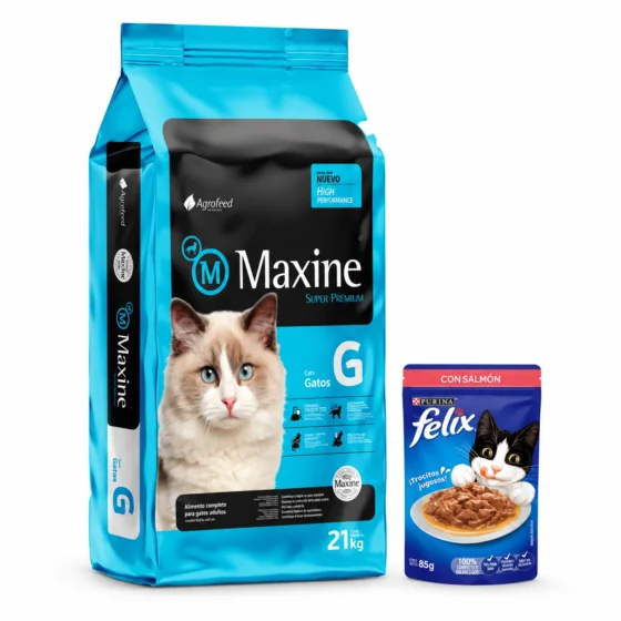 Maxine Gato Super Premium 21 Kg + Salsa