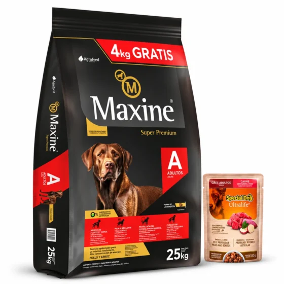 Maxine Adulto Super Premium 21+4 Kg + Salsa de regalo