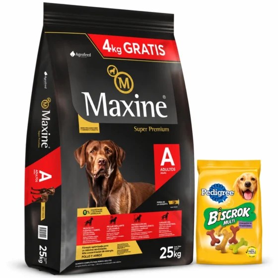 Maxine Adulto Super Premium 21+4 Kg + Biscrok 100 g de regalo