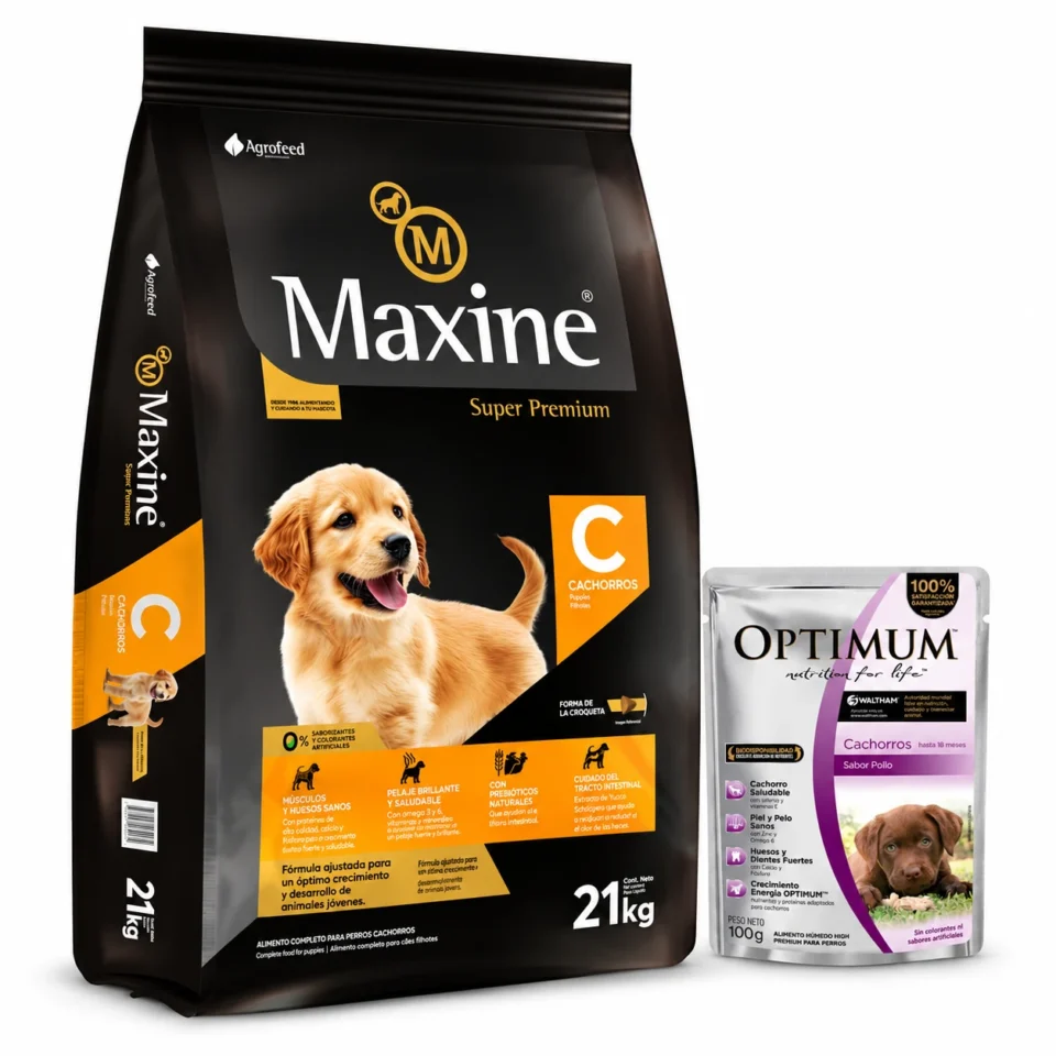 Maxine Cachorro Super Premium 21+1,5 Kg + Salsa de regalo