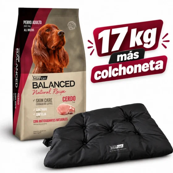balanced cerdo y arroz